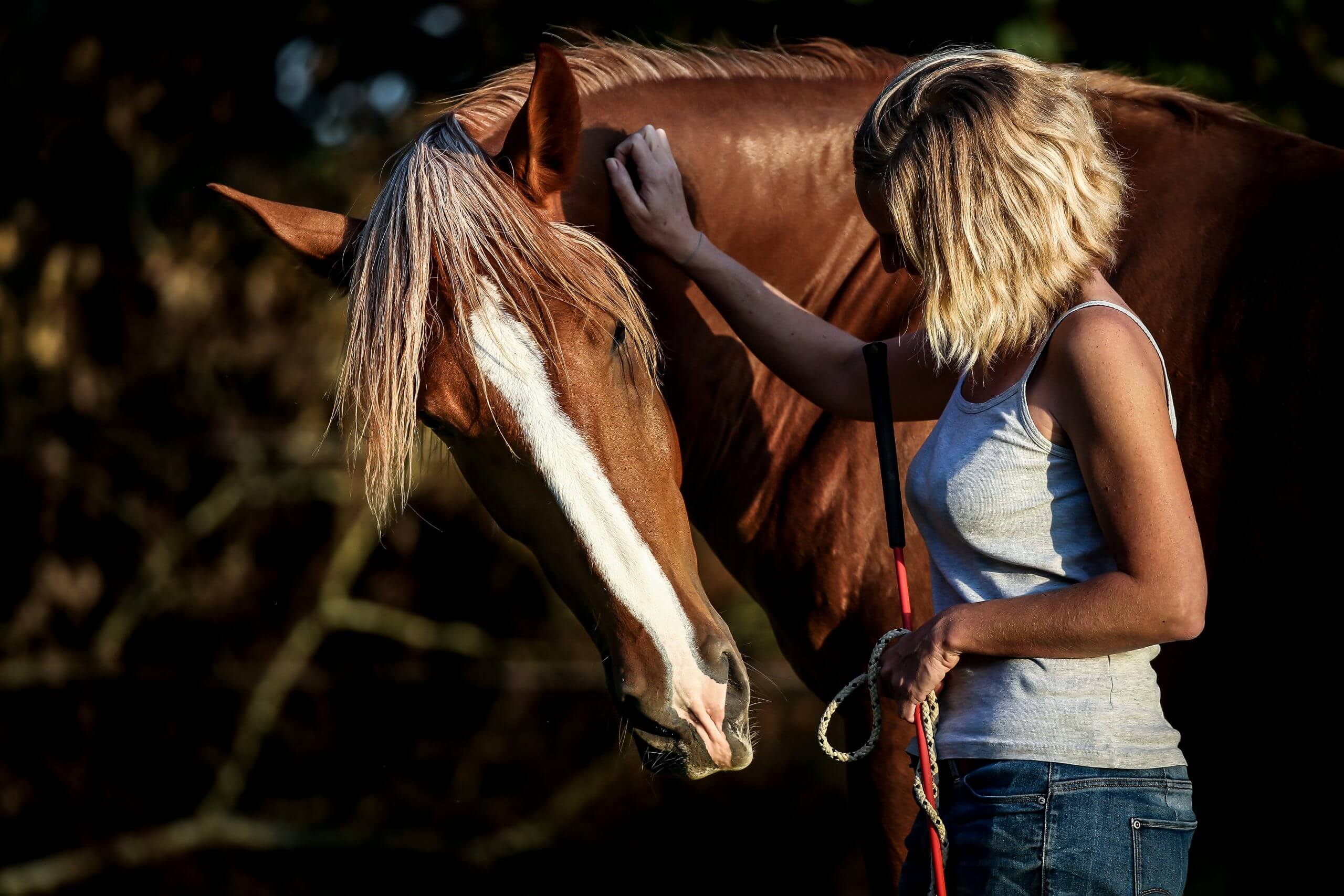 Jouer un rôle, à son niveau, pour préserver l’environnement tout en nourrissant bien son cheval