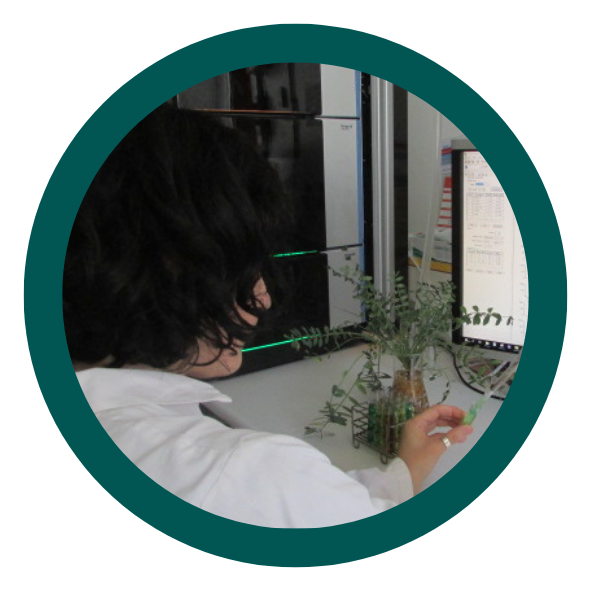 Lise Negrel - Responsable R&D Equifolia