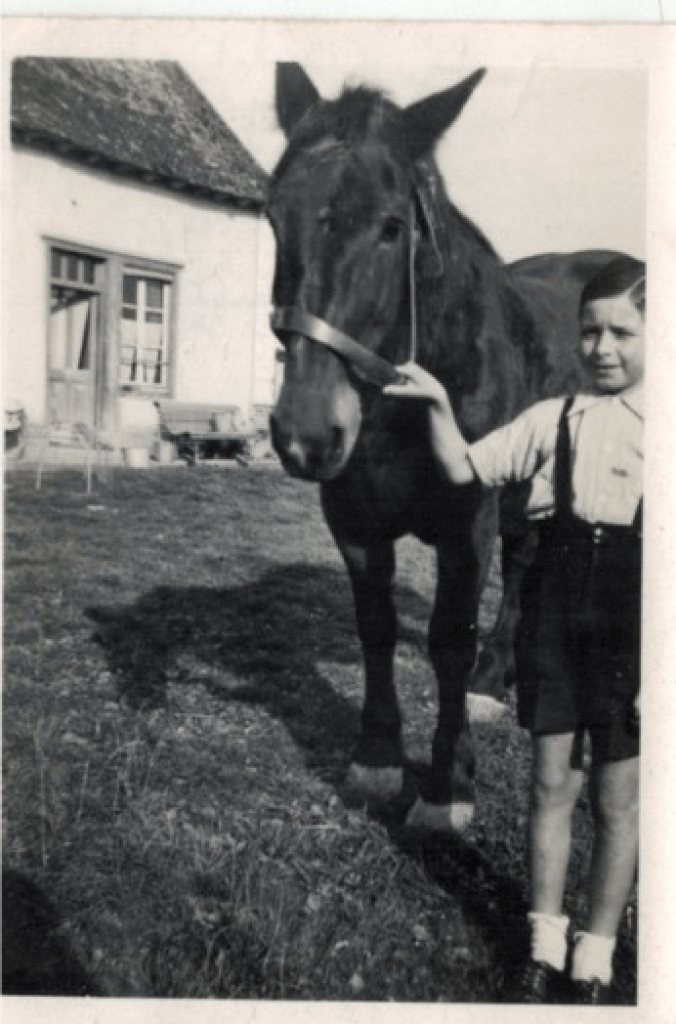 La plante des chevaux